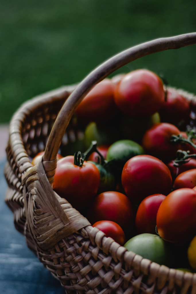 Fresh tomatoes kept in a basket for Zaalouk salad recipe 